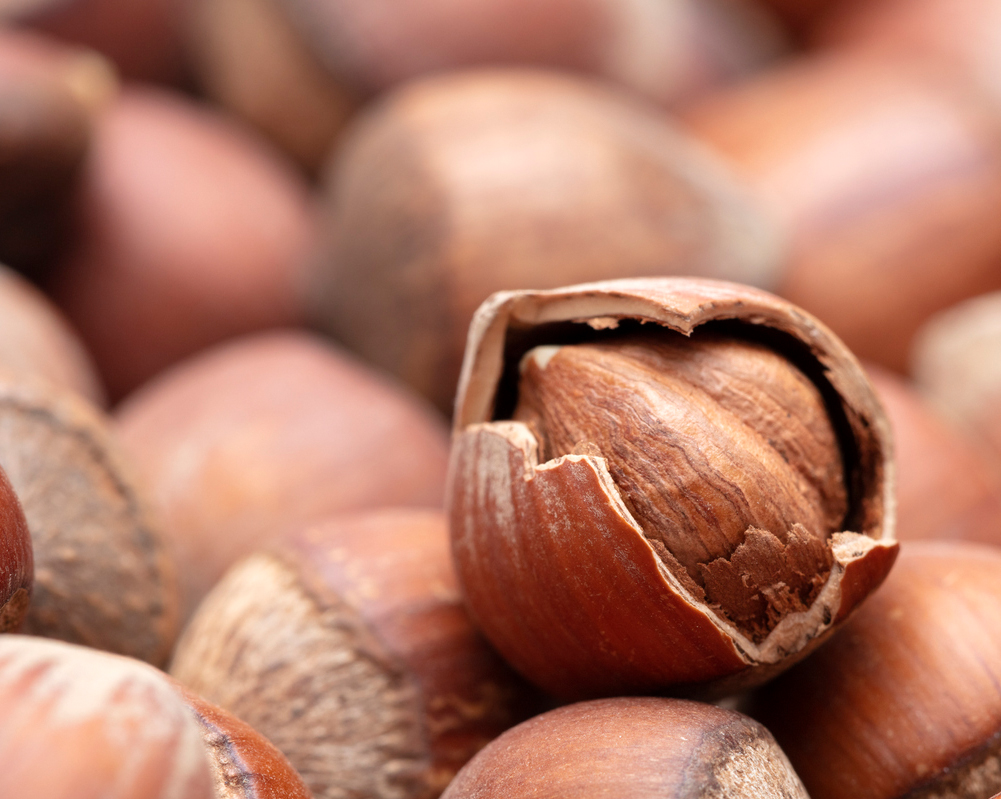 Орехи каждый день. Фундук (Лесной орех). Лесной орех (Hazelnut). Пьемонтский фундук. Фундук Сток.